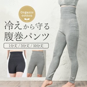 腹巻きパンツ レディース 腹巻き付きパンツ 綿 オーガニックコットン 女性 妊娠中 妊婦 マタニティ 防寒 あったか お腹の冷え対策 冷えと