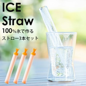 100%氷でできたストロー　アウトドア　キャンプ　夏の暑い日　冷たい飲み物　