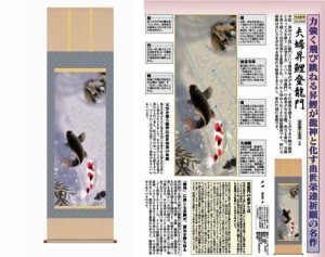 掛軸「夫婦昇鯉登龍門」戸田雲草筆 [ 収納箱 10年保証 受注生産 床の間 和風 掛け軸 日本製 国内産 国産 品質保証付き 昇鯉 開運 夫婦円