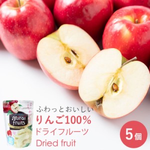 ドライフルーツ りんご ベビーフード 9ヶ月 ギフト ミライフルーツ りんご 10g×５個