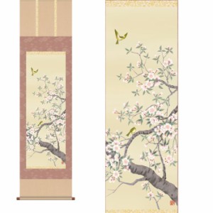 掛軸 「桜花」 北山歩生 筆 [ 収納箱 10年保証 受注生産 31×89 国内産 国産 パステル 優しい やさしい 癒し ピンク 床の間 和風 掛け軸 