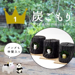 母の日 炭籠り ガラスマスコット ふくろう いぬ ねこ かえる にわとり うし パンダ 干支 備長炭 くぬぎ炭 インテリア 玄関 消臭 湿気取り