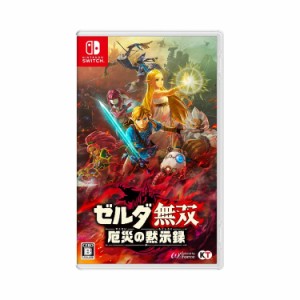 Nintendo Switch ゼルダ無双 厄災の黙示録