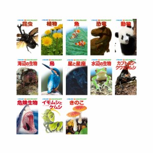 小学館の図鑑NEOポケット （既13巻）　23年