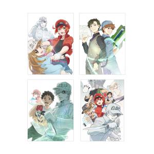 Blu-ray はたらく細胞 一期 全巻セット+特別編 （はたらく細胞
