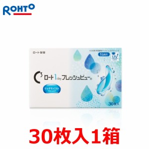 【送料無料・1箱】ロート ワンデー フレッシュビュー リッチモイスト 1day【1日使い捨て】30枚 ポスト投函