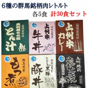 【2000円OFFクーポン】【送料無料】群馬県銘柄肉レトルト6種 30食セット カレー 炭火焼き 牛丼 豚丼 とん汁 もつ煮 レトルト食品 買い置
