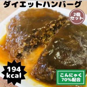 こんにゃく70％入りダイエットハンバーグ2食セット レトルトハンバーグ 惣菜 ハンバーグ 生芋こんにゃく 送料無料 メール便