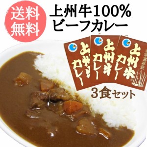 上州牛カレー 170ｇ×3袋 ビーフカレー レトルトカレー 甘口 お試し ネコポス便 ご当地カレー レトルト食品 上州牛 あかぎチキン 国産 送