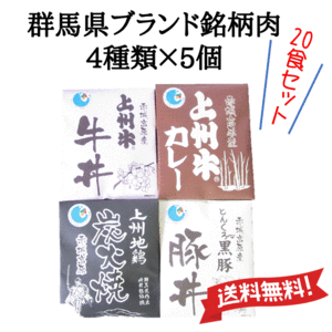 レトルト 群馬県ブランド銘柄肉4種類×5個 20食セット レトルト食品 牛丼 豚丼 カレー 炭火焼き 送料無料 群馬 ご当地 グルメ 国産