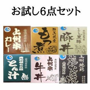 レトルト食品 惣菜 群馬県ブランド銘柄肉お試し6点セット カレー 地鶏炭火焼 牛丼 豚丼 とん汁 もつ煮 送料無料 ご当地 グルメ 送料無料