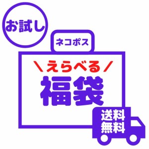 選べる お試し 福袋 2024 おつまみ 訳あり 簡易包装 送料無料【店長おすすめ2個+選べるおつまみ1個】ネコポス 珍味 おやつ 当店限定