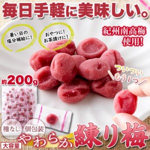 【大容量】やわらか練り梅200g 小梅 練り梅 南高梅 個包装 駄菓子 