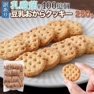 乳酸菌約100億個【訳あり】豆乳おからクッキー250g×2袋 おからクッキー 豆乳 乳酸菌 訳あり クッキー 焼き菓子 ダイエット 乳酸菌EC-12