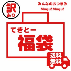 訳あり「てきとー福袋」福袋 2024年 送料無料 おつまみ 珍味 スイーツ 食品ロス 在庫処分