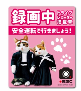 なめ猫 ドライブレコーダー ステッカー ピンク 録画中 なめんなよ LCS840 グッズ 猫 ドラレコ