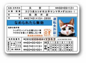 なめ猫 ダイカットビニールステッカー 免許証 LCS447 ステッカー なめ猫グッズ