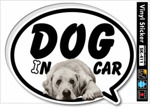 ペットステッカー ドッグインカー DOG IN CAR 17匹目 SK411 ドッグ ステッカー 犬 グッズ