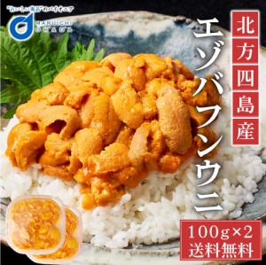 ウニ 塩水 うに ウニ 訳あり 塩水うに 100g x 2パック 北方四島産 送料無料 冷蔵配送 生うに バフン 生ウニ 雲丹 北海道 グルメ 場外市場