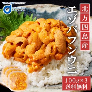 送料無料 冷蔵配送 塩水うに 100gx3パック 北方四島産 生うに バフン ウニ 生ウニ 雲丹 北海道 グルメ 場外市場 無添加 塩水パック 父の