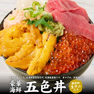 札幌中央卸売市場 豪華海鮮5色丼 セット 本マグロ いくら醤油漬け 生ウニ 生ほたて貝柱 鮭とろ 海鮮丼 送料無料 ギフト プレゼント 父の