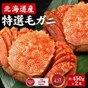 毛ガニ 北海道産 毛蟹 お歳暮 ギフト 450g×2尾セット 送料無料 かに 毛ガニ 毛がに 札幌 ボイル 海鮮グルメ お取り寄せ ギフト お返し 