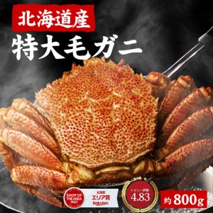 北海道産 毛蟹 毛ガニ 特大 毛がに 800g 送料無料 札幌 場外市場 ボイル 海鮮グルメ お取り寄せ ギフト プレゼント 母の日 プレゼント