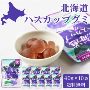 カネカ食品 北海道ハスカップグミ 【40g × 10袋セット】 送料無料 メール便 果汁グミ ラブレ乳酸菌入り 北海道限定 ご当地 お菓子 人気 