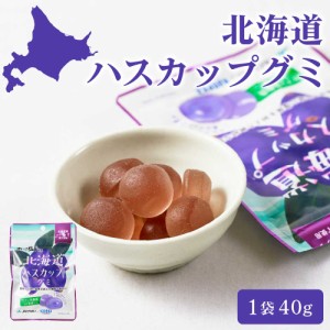 カネカ食品 北海道ハスカップグミ 【40g × 1袋】 果汁グミ ラブレ乳酸菌入り 北海道限定 ご当地 お菓子 人気 父の日 プレゼント