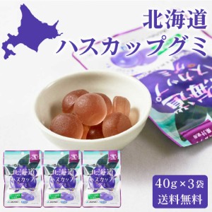 カネカ食品 北海道ハスカップグミ 【40g × 3袋セット】 送料無料 メール便 果汁グミ ラブレ乳酸菌入り 北海道限定 ご当地 お菓子 人気 