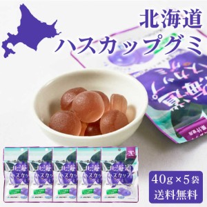 カネカ食品 北海道ハスカップグミ 【40g × 5袋セット】 送料無料 メール便 果汁グミ ラブレ乳酸菌入り 北海道限定 ご当地 お菓子 人気 