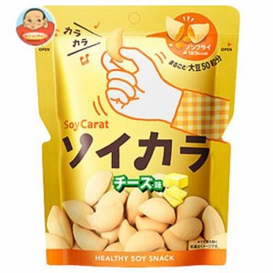 大塚製薬 ソイカラ（SoyCarat） チーズ味 27g×18袋入｜ 送料無料