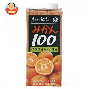 JAビバレッジ佐賀 みかん100 1L紙パック×6本入×(2ケース)｜ 送料無料