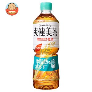 コカコーラ 爽健美茶 健康素材の麦茶 600mlペットボトル×24本入×(2ケース)｜ 送料無料