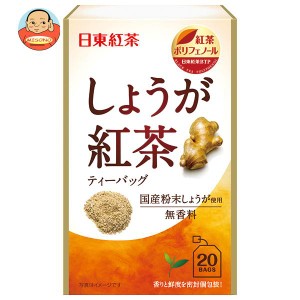 三井農林 日東紅茶 しょうが紅茶 2.2g×20袋×48袋入｜ 送料無料