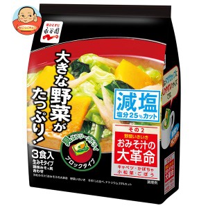 永谷園 おみそ汁の大革命 野菜いきいき その2 減塩 66g×5袋入×(2ケース)｜ 送料無料