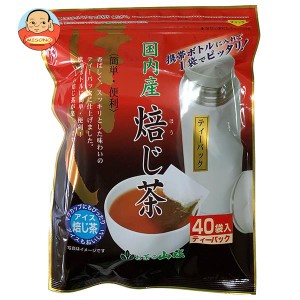 山城物産 ボトルにピッタリほうじ茶 ティーバッグ 2g×40P×20袋入｜ 送料無料