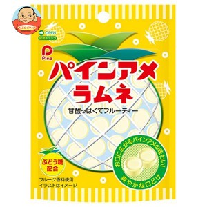 パイン パインアメラムネ 25g×10袋入×(2ケース)｜ 送料無料