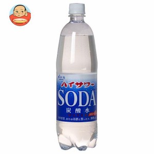 博水社 ハイサワー 炭酸水 1000mlペットボトル×15本入×(2ケース)｜ 送料無料