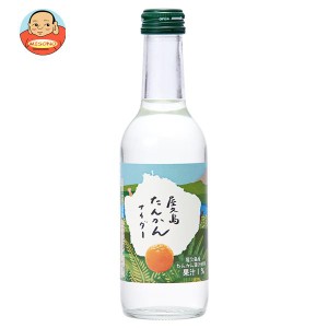 友桝飲料 タンカンサイダー 245ml瓶×24本入｜ 送料無料