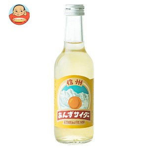 友桝飲料 信州杏サイダー 245ml瓶×24本入×(2ケース)｜ 送料無料