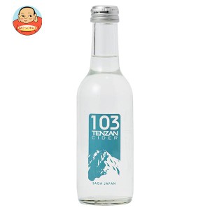 友桝飲料 103(テンザン)サイダー 250ml瓶×24本入｜ 送料無料