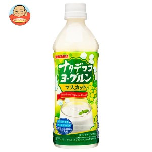 サンガリア ナタデココヨーグルンマスカット 500mlペットボトル×24本入｜ 送料無料