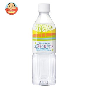 盛田（ハイピース） 越前の自然水 500mペットボトル×24本入×(2ケース)｜ 送料無料