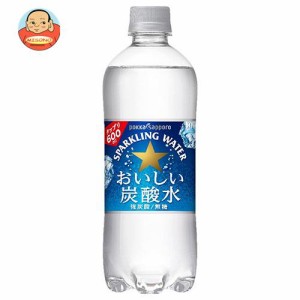 ポッカサッポロ おいしい炭酸水 600mlペットボトル×24本入×(2ケース)｜ 送料無料