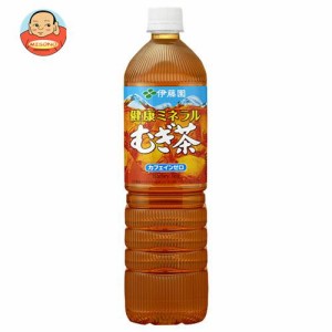 伊藤園 健康ミネラルむぎ茶スリム 1Lペットボトル×12本入×(2ケース)｜ 送料無料