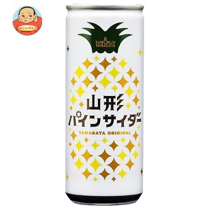 山形食品 山形パインサイダー 250ml缶×30本入×(2ケース)｜ 送料無料