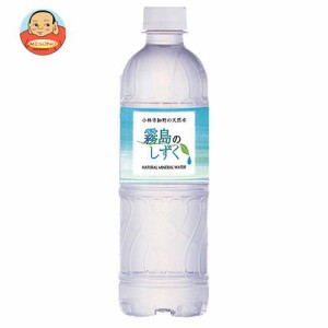 霧島シリカ水源 霧島のしずく 500mlペットボトル×24本入｜ 送料無料