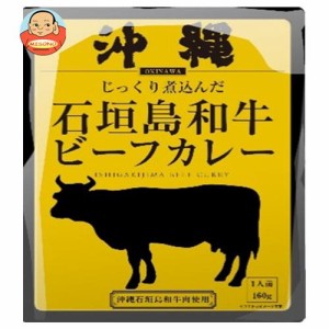 響 沖縄石垣島和牛ビーフカレー 160g×30袋入｜ 送料無料