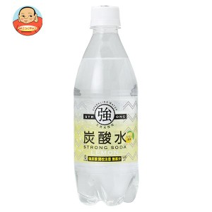 友桝飲料 強炭酸水レモン 500mlペットボトル×24本入｜ 送料無料